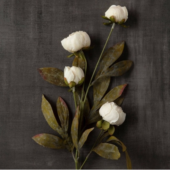 Tan and cream peony stems by Ashland 5 Tan & 5 cream - Picture 3 of 8